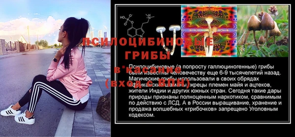 a pvp Гусь-Хрустальный