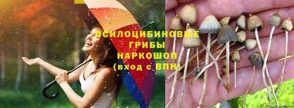jwh Горнозаводск