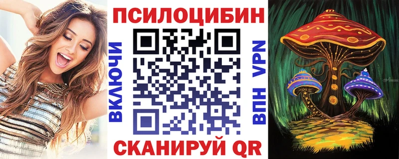 Псилоцибиновые грибы мицелий  Гусиноозёрск 